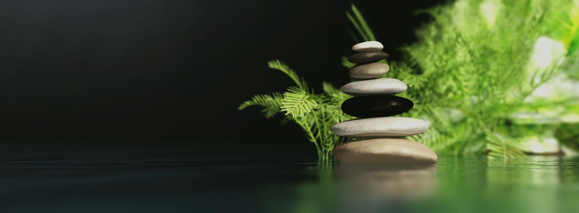 biokuracja kamień pomorski tło